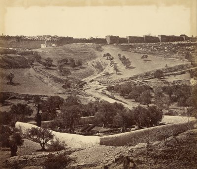 (Jardín de Getsemaní y ascenso a la Puerta de Esteban, a través del Valle de Josafat) de James Robertson